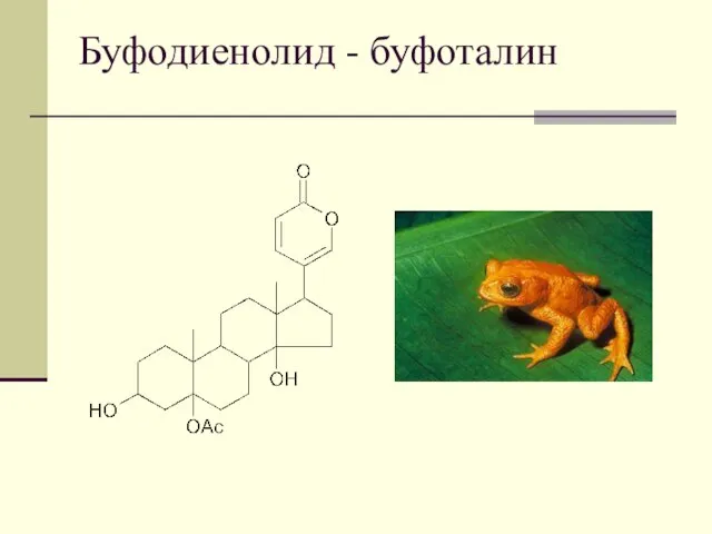 Буфодиенолид - буфоталин