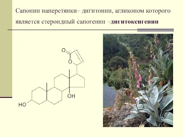 Сапонин наперстянки– дигитонин, агликоном которого является стероидный сапогенин –дигитоксигенин