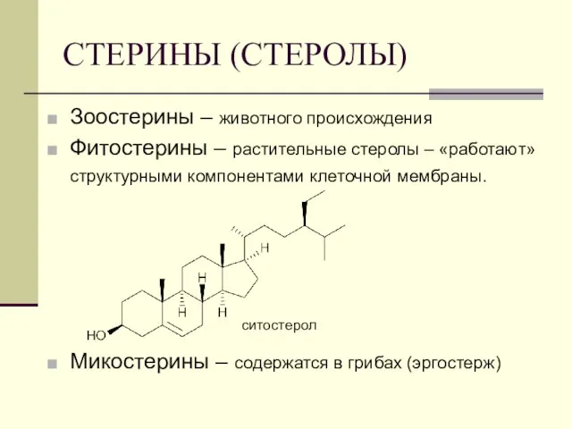 СТЕРИНЫ (СТЕРОЛЫ) Зоостерины – животного происхождения Фитостерины – растительные стеролы – «работают»