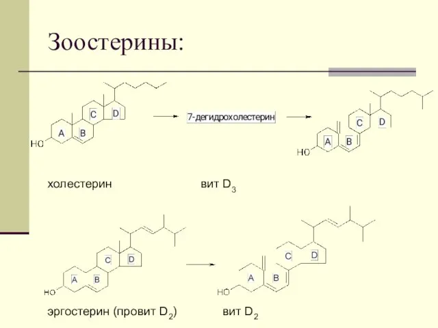 Зоостерины: эргостерин (провит D2) вит D2 холестерин вит D3