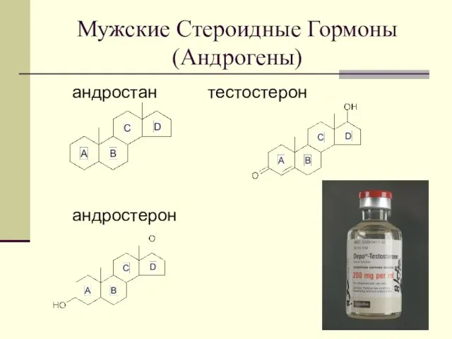 Мужские Стероидные Гормоны (Андрогены) андростан тестостерон андростерон