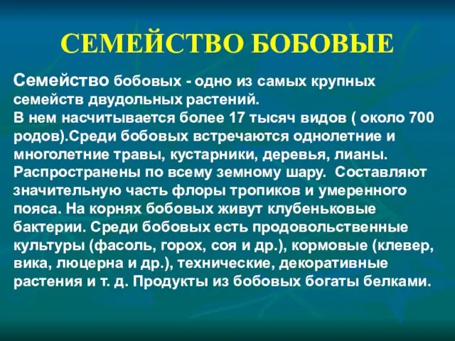 СЕМЕЙСТВО БОБОВЫЕ Семейство бобовых - одно из самых крупных семейств двудольных растений.