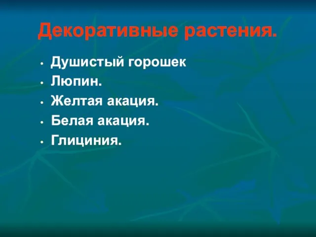 Декоративные растения. Душистый горошек Люпин. Желтая акация. Белая акация. Глициния.