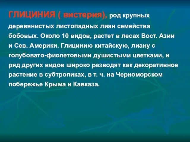 ГЛИЦИНИЯ ( вистерия), род крупных деревянистых листопадных лиан семейства бобовых. Около 10