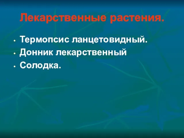 Лекарственные растения. Термопсис ланцетовидный. Донник лекарственный Солодка.