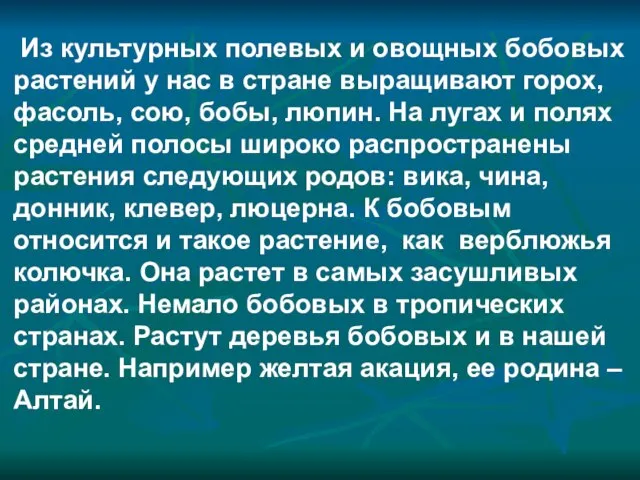 Из культурных полевых и овощных бобовых растений у нас в стране выращивают