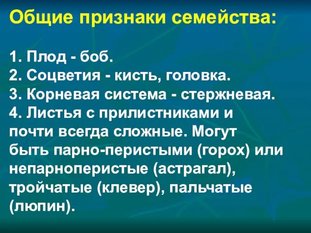 Общие признаки семейства: 1. Плод - боб. 2. Соцветия - кисть, головка.