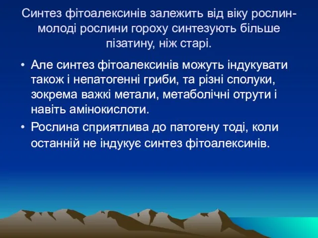 Синтез фiтоалексинiв залежить вiд вiку рослин- молодi рослини гороху синтезують бiльше пiзатину,