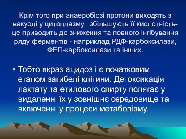 Крiм того при анаеробiозi протони виходять з вакуолi у цитоплазму i збiльшують