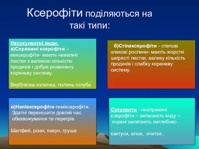 Ксерофiти подiляються на такі типи: Несукулентні види: а)Справжнi ксерофiти – евксерофiти- мають