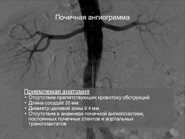 Почечная ангиограмма Приемлемая анатомия Отсутствие препятствующих кровотоку обструкций Длина сосуда≥ 20 мм