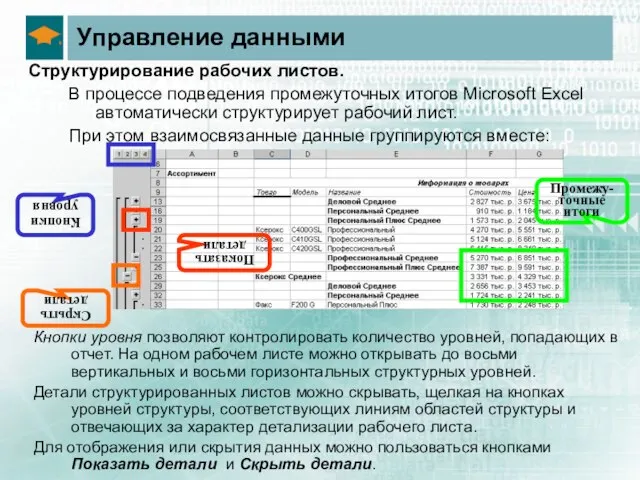 Управление данными Структурирование рабочих листов. В процессе подведения промежуточных итогов Microsoft Excel