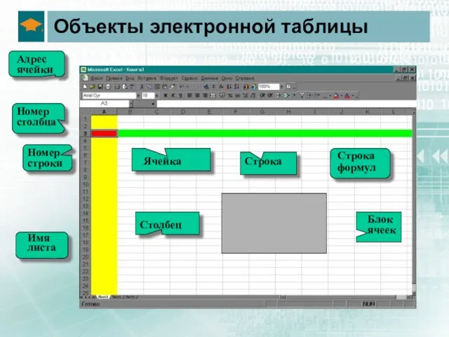 Объекты электронной таблицы