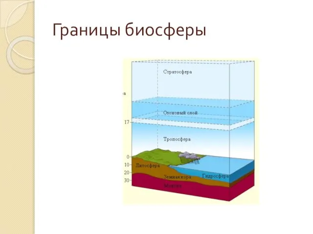 Границы биосферы