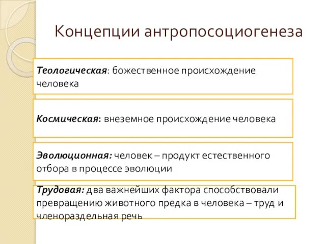 Концепции антропосоциогенеза Теологическая: божественное происхождение человека Космическая: внеземное происхождение человека Эволюционная: человек