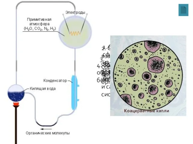 1. Органические вещества сформировались из неорганических под действием физических факторов среды. 2.