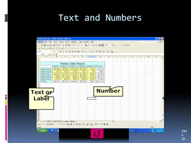 Text and Numbers Slide Text or Label Number