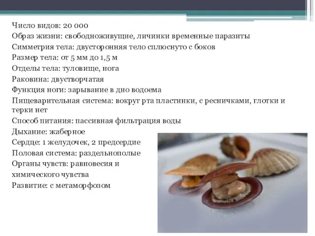 Число видов: 20 000 Образ жизни: свободноживущие, личинки временные паразиты Симметрия тела: