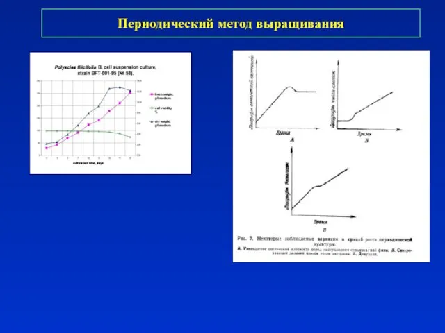 Периодический метод выращивания