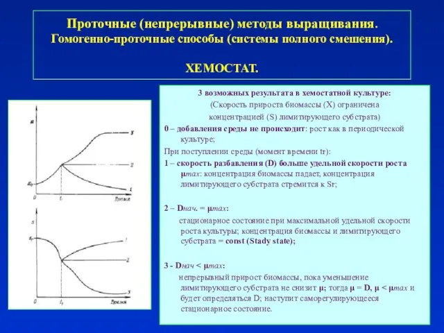 3 возможных результата в хемостатной культуре: (Скорость прироста биомассы (Х) ограничена концентрацией