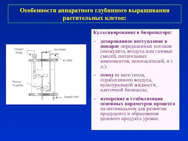 Особенности аппаратного глубинного выращивания растительных клеток: Культивирование в биореакторе: дозированное поступление в