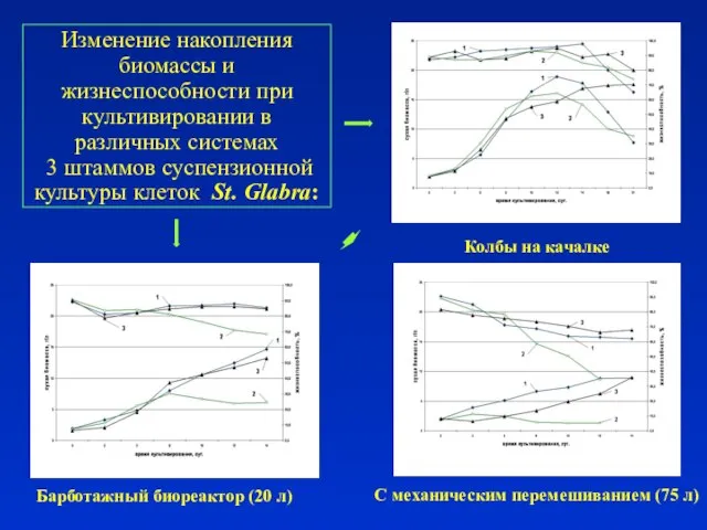 Изменение накопления биомассы и жизнеспособности при культивировании в различных системах 3 штаммов