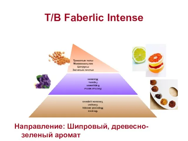 Т/В Faberlic Intense Травяные ноты Можжевельник Цитрусы Зеленые листья Листья мяты Кардамон