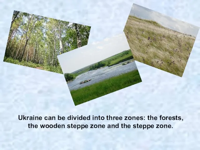 Ukraine can be divided into three zones: the forests, the wooden steppe