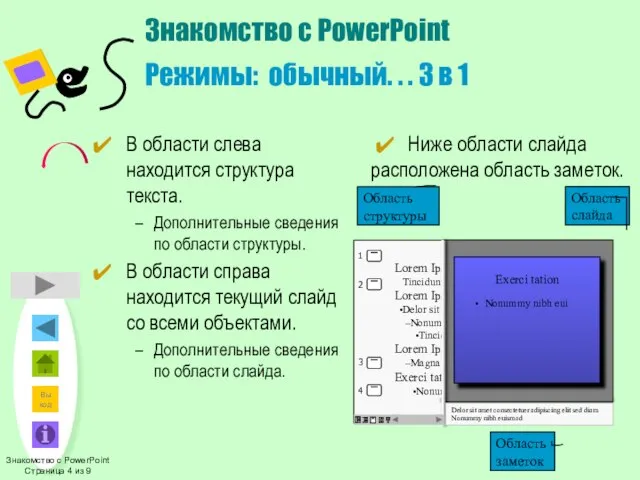 Exerci tation Nonummy nibh eui Delor sit amet consectetuer adipiscing elit sed