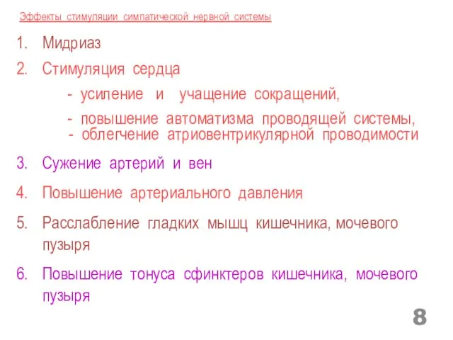 Эффекты стимуляции симпатической нервной системы Мидриаз Стимуляция сердца - усиление и учащение