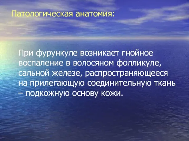 Патологическая анатомия: При фурункуле возникает гнойное воспаление в волосяном фолликуле, сальной железе,