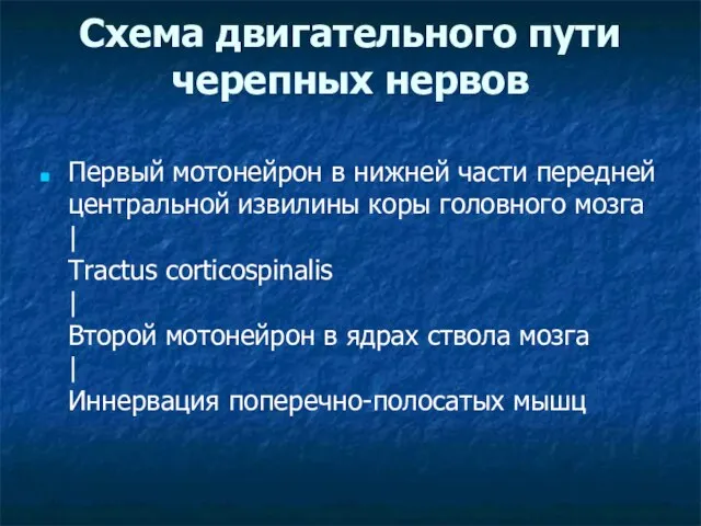 Схема двигательного пути черепных нервов Первый мотонейрон в нижней части передней центральной