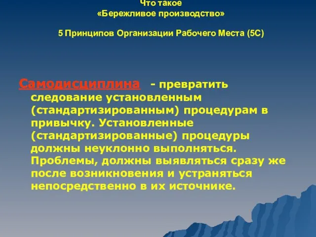 Что такое «Бережливое производство» 5 Принципов Организации Рабочего Места (5С) Самодисциплина -