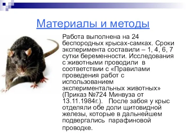 Материалы и методы Работа выполнена на 24 беспородных крысах-самках. Сроки эксперимента составили