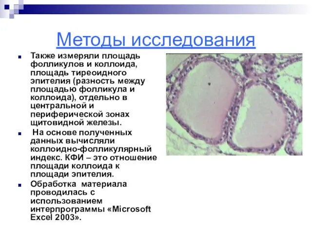 Методы исследования Также измеряли площадь фолликулов и коллоида, площадь тиреоидного эпителия (разность