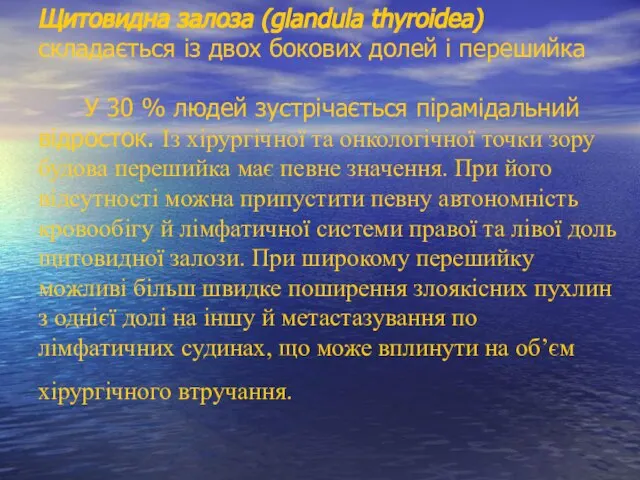 Щитовидна залоза (glandula thyroidea) складається із двох бокових долей і перешийка У