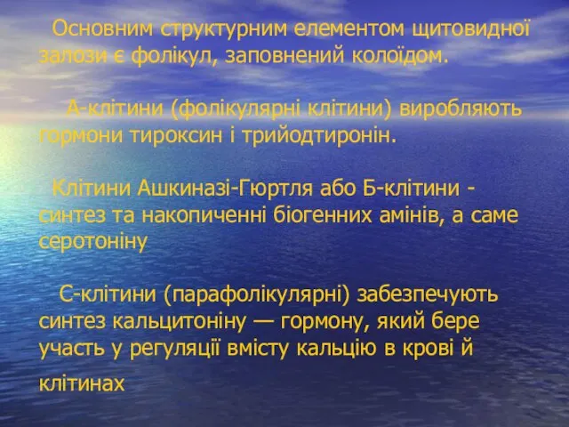 Основним структурним елементом щитовидної залози є фолікул, заповнений колоїдом. А-клітини (фолікулярні клітини)