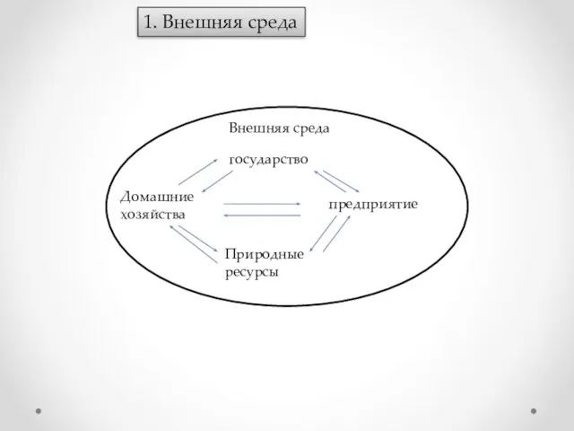 1. Внешняя среда Внешняя среда государство Природные ресурсы Домашние хозяйства предприятие