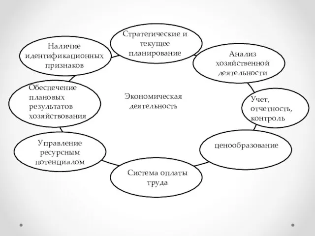 Стратегические и текущее планирование Анализ хозяйственной деятельности ценообразование Система оплаты труда Управление