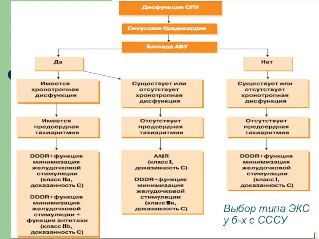 Выбор типа ЭКС у б-х с СССУ