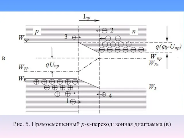 Рис. 5. Прямосмещенный р-п-переход: зонная диаграмма (в)