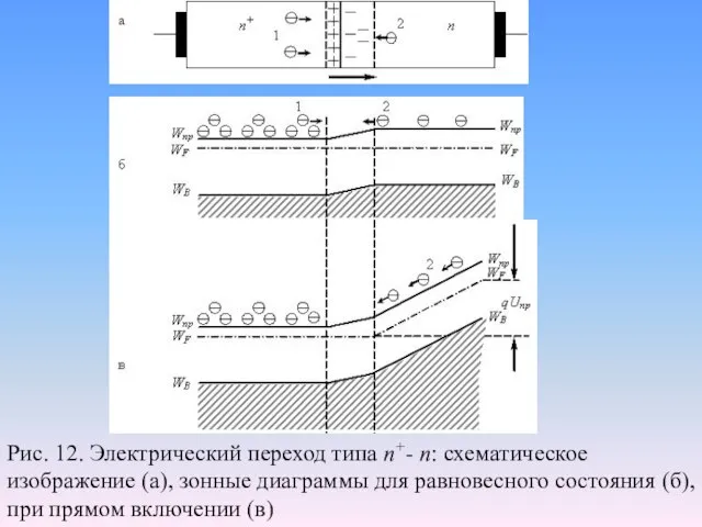 Рис. 12. Электрический переход типа п+- п: схематическое изображение (а), зонные диаграммы