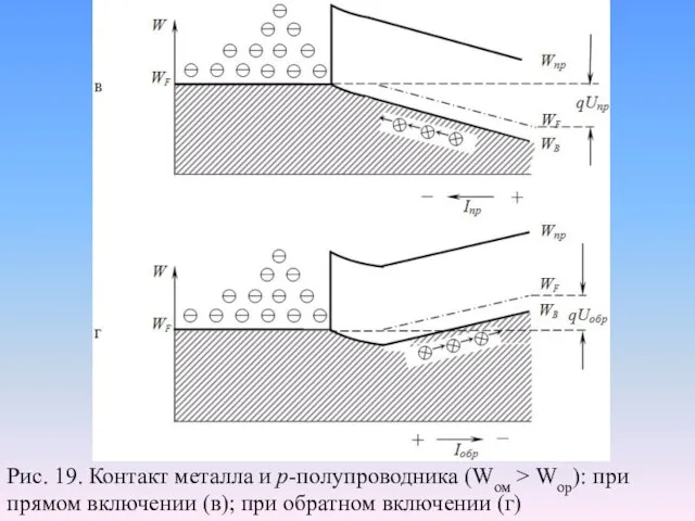 Рис. 19. Контакт металла и р-полупроводника (Wом > Wор): при прямом включении