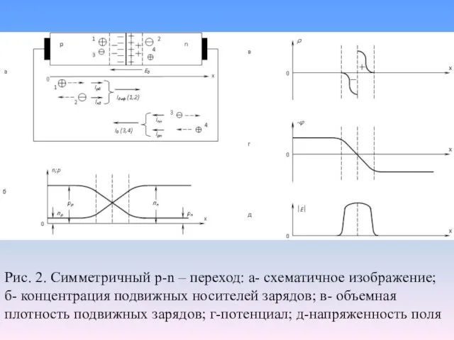 Рис. 2. Симметричный p-n – переход: а- схематичное изображение; б- концентрация подвижных