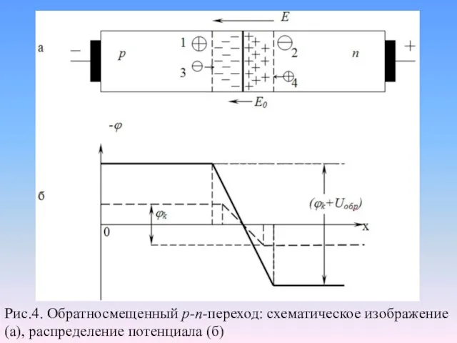 Рис.4. Обратносмещенный р-п-переход: схематическое изображение (а), распределение потенциала (б)