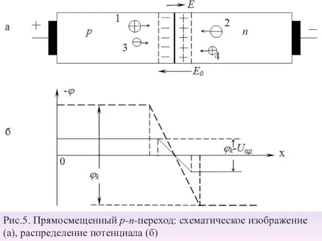 Рис.5. Прямосмещенный р-п-переход: схематическое изображение (а), распределение потенциала (б)