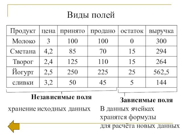 Виды полей Независимые поля Зависимые поля хранение исходных данных В данных ячейках