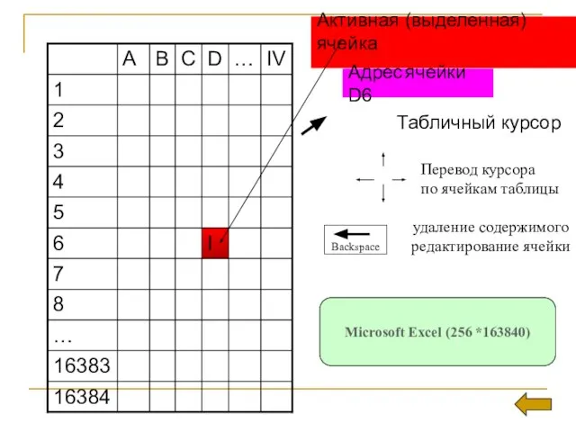 Активная (выделенная) ячейка Табличный курсор Перевод курсора по ячейкам таблицы удаление содержимого