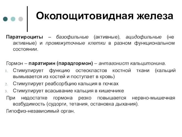 Околощитовидная железа Паратироциты – базофильные (активные), ацидофильные (не активные) и промежуточные клетки