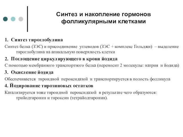 Синтез и накопление гормонов фолликулярными клетками 1. Синтез тироглобулина Синтез белка (ЗЭС)